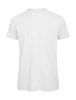Organic Inspire T men T-Shirt Kleur White